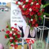 Img 20200718 115033 01
