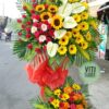 Img 20200905 190351 01