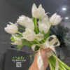 Z3604628917883 C59d842805121fe4821a92a441a087ac