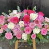Z6562016099012 880fc56a173bb77220a6bb3fce3300c0