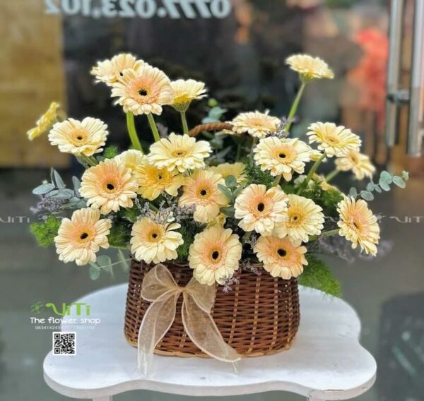 Z6600752721461 14309c5a24e0e92bc7a998cd26a3ca11